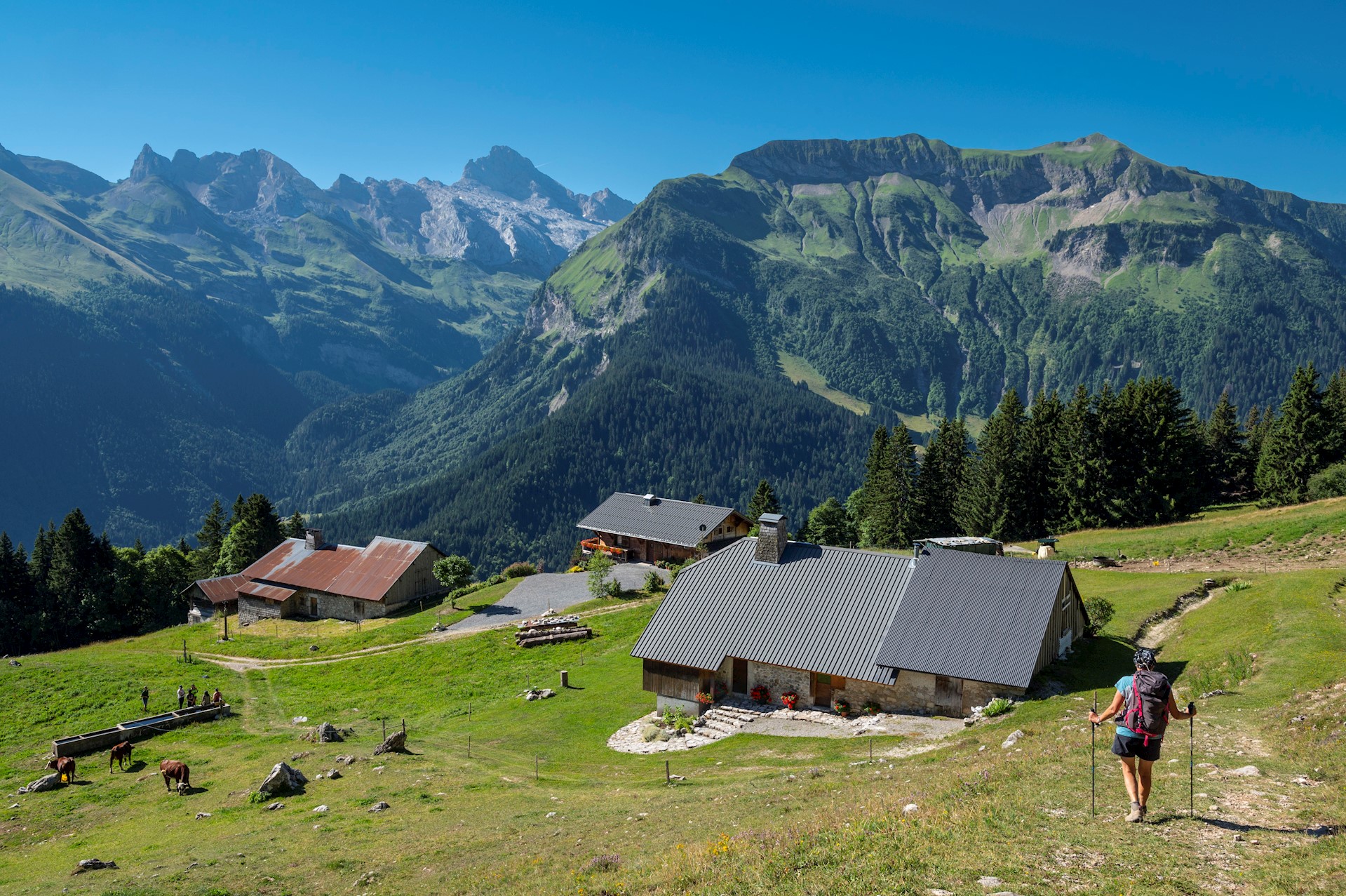 Gilles LANSARD - HEMIS - Le Reposoir